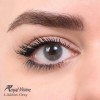 لنز شماره 4 مدل Addict Gray رویال ویژن